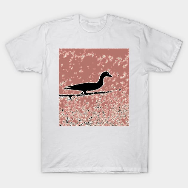 Duck Duck Shadow T-Shirt by Tovers